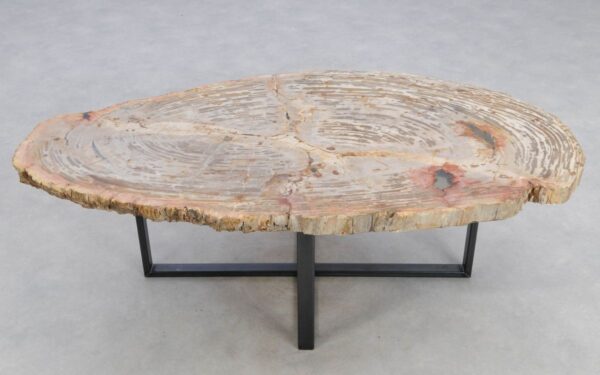 Coffee table petrified wood 48149