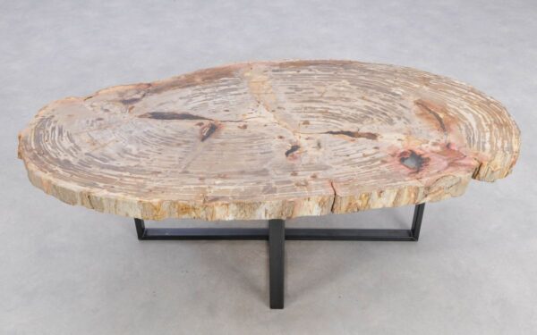 Coffee table petrified wood 48150