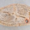 Coffee table petrified wood 48152