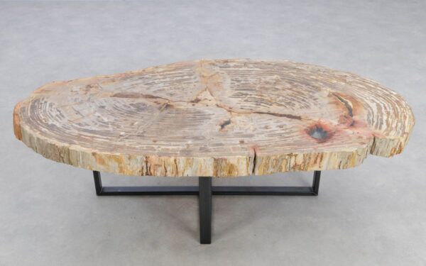 Coffee table petrified wood 48152