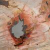 Coffee table petrified wood 48152