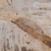 Coffee table petrified wood 48152
