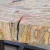 Coffee table petrified wood 48152