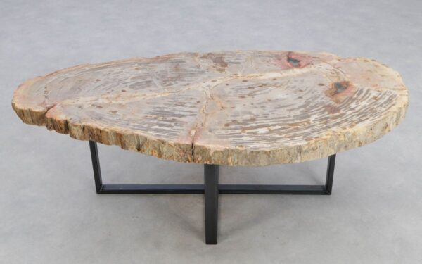 Coffee table petrified wood 48153