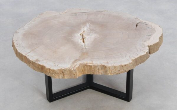 Coffee table petrified wood 49157