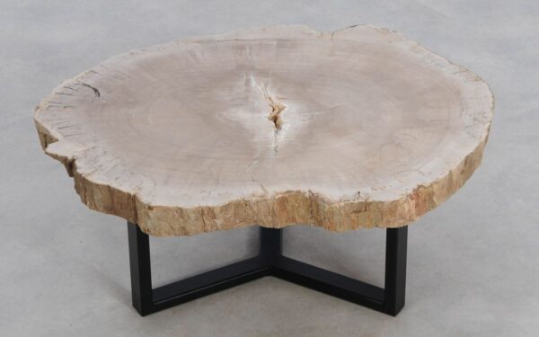 Coffee table petrified wood 49158