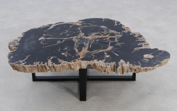 Coffee table petrified wood 49159