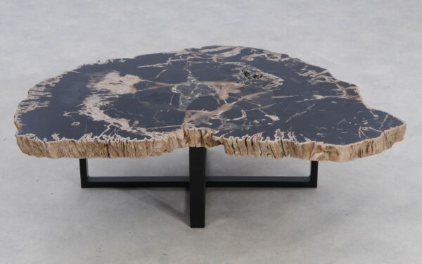 Coffee table petrified wood 49160