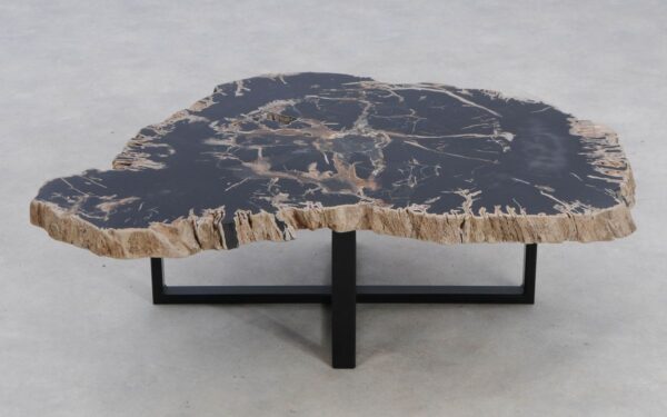 Coffee table petrified wood 49161