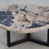 Coffee table petrified wood 49162