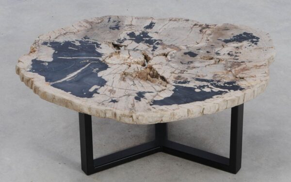 Coffee table petrified wood 49162
