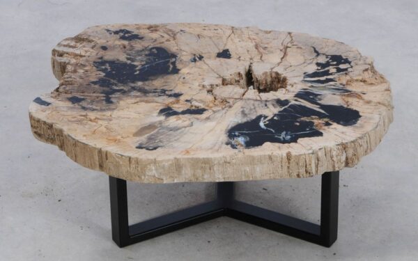 Coffee table petrified wood 49163