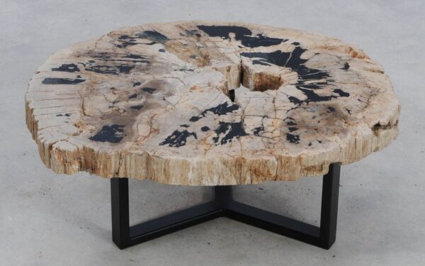Coffee table petrified wood 49165