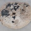 Coffee table petrified wood 49166