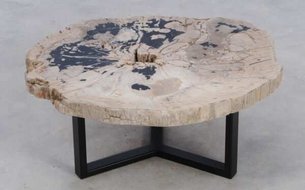 Coffee table petrified wood 49166