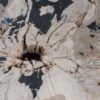 Coffee table petrified wood 49166
