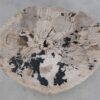 Coffee table petrified wood 49167