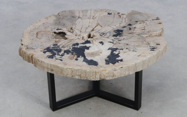 Coffee table petrified wood 49167