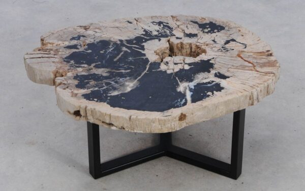 Coffee table petrified wood 49168