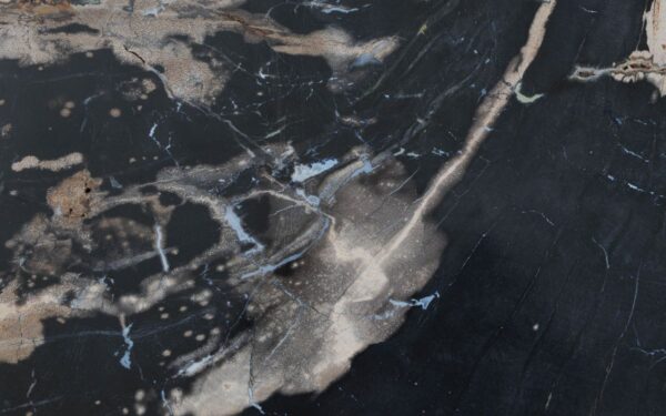 Coffee table petrified wood 49168