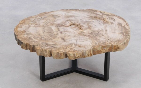 Coffee table petrified wood 49169