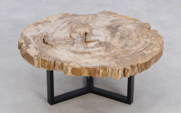 Coffee table petrified wood 49170