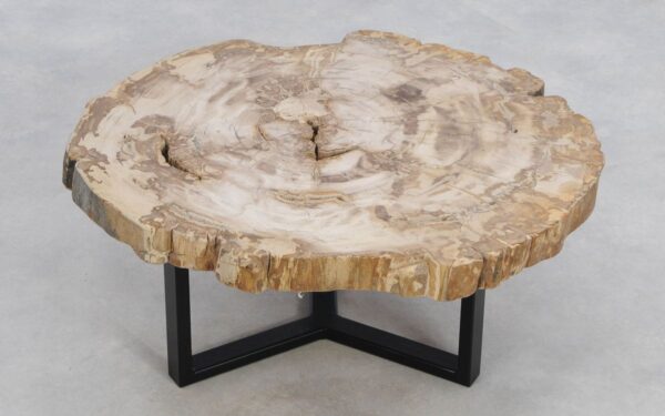 Coffee table petrified wood 49171