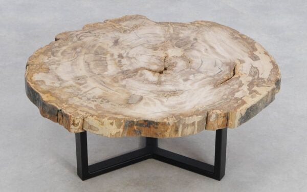 Coffee table petrified wood 49172