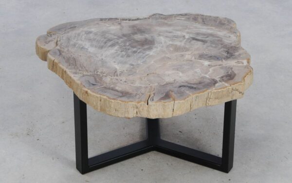 Coffee table petrified wood 49174