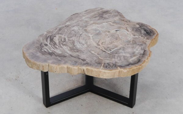 Coffee table petrified wood 49175