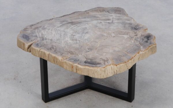 Coffee table petrified wood 49176