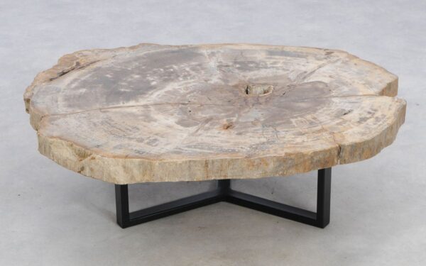 Coffee table petrified wood 49180