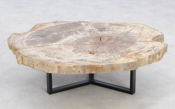 Coffee table petrified wood 49181