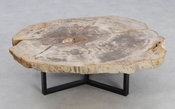 Coffee table petrified wood 49182