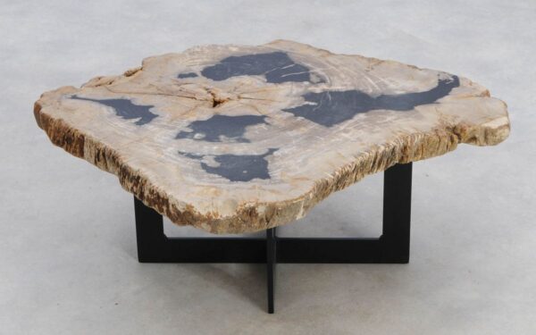 Coffee table petrified wood 49183