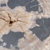 Coffee table petrified wood 49183