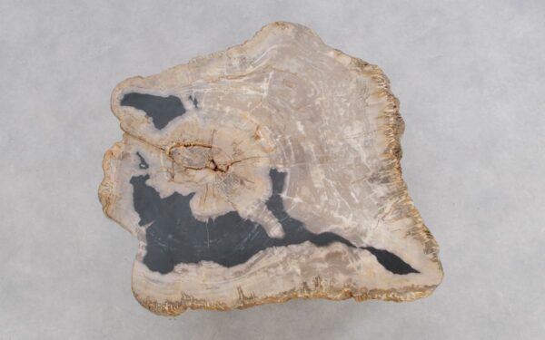 Coffee table petrified wood 49184