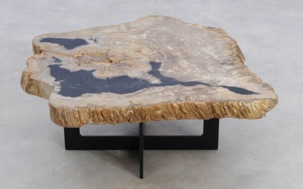 Coffee table petrified wood 49184