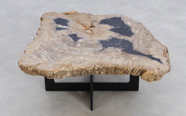 Coffee table petrified wood 49185