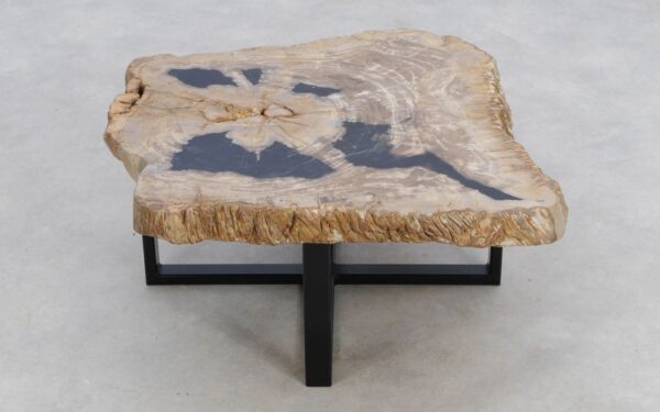 Coffee table petrified wood 49186