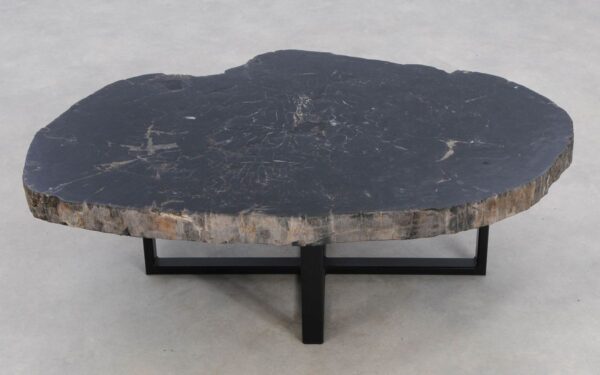 Coffee table petrified wood 49190