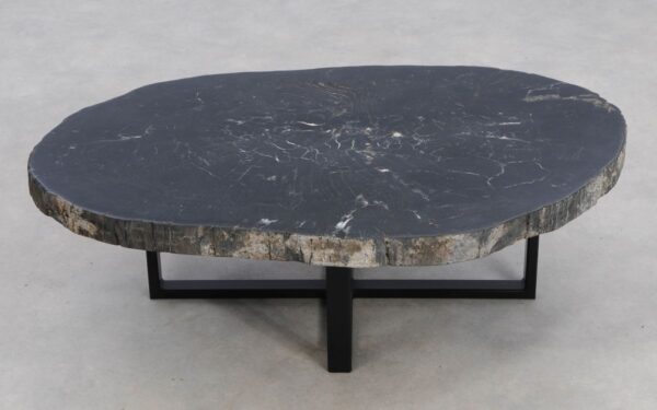 Coffee table petrified wood 49193
