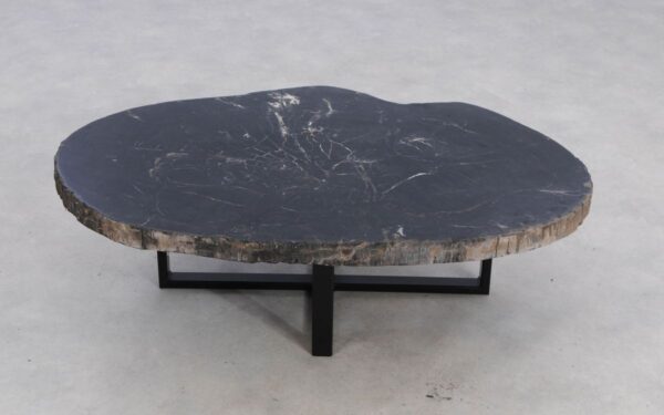 Coffee table petrified wood 49194