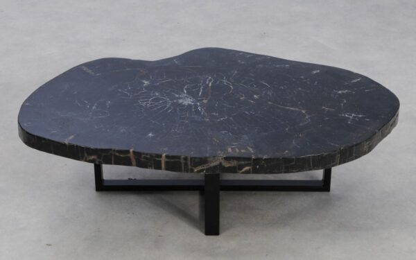 Coffee table petrified wood 49196