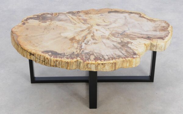Coffee table petrified wood 49199