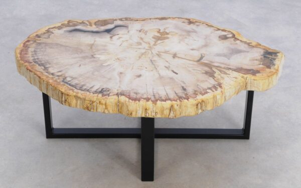Coffee table petrified wood 49201
