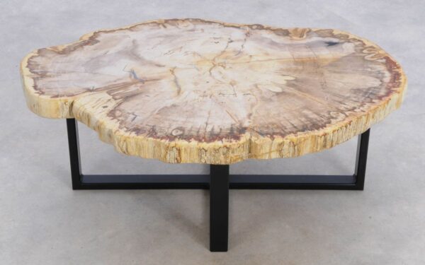 Coffee table petrified wood 49202