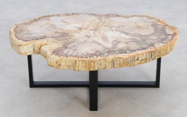 Coffee table petrified wood 49203