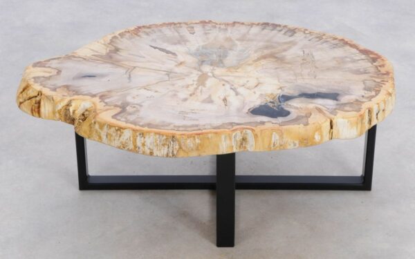 Coffee table petrified wood 49204