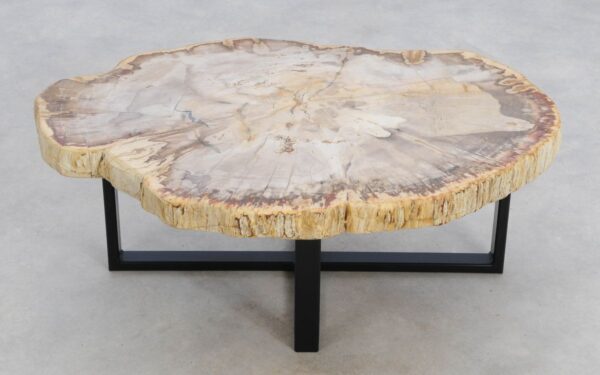 Coffee table petrified wood 49205
